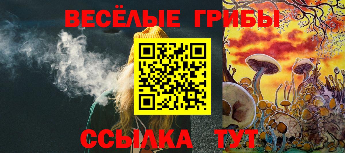 Псилоцибиновые грибы GOLDEN TEACHER  Вход с VPN  Псилоцибиновые грибы мицелий  Электрогорск 